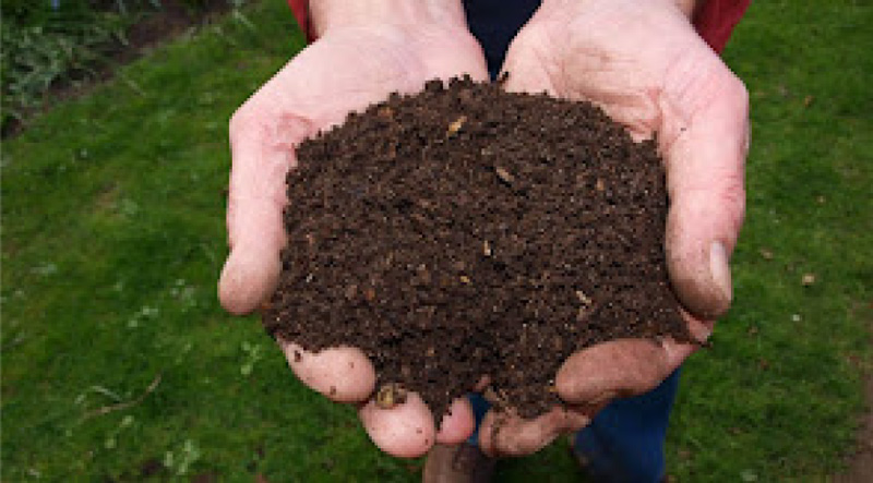 Compost